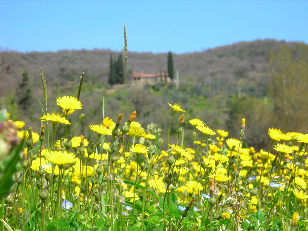 Allegro Agriturismo Argiano Arezzo Zewnętrze zdjęcie