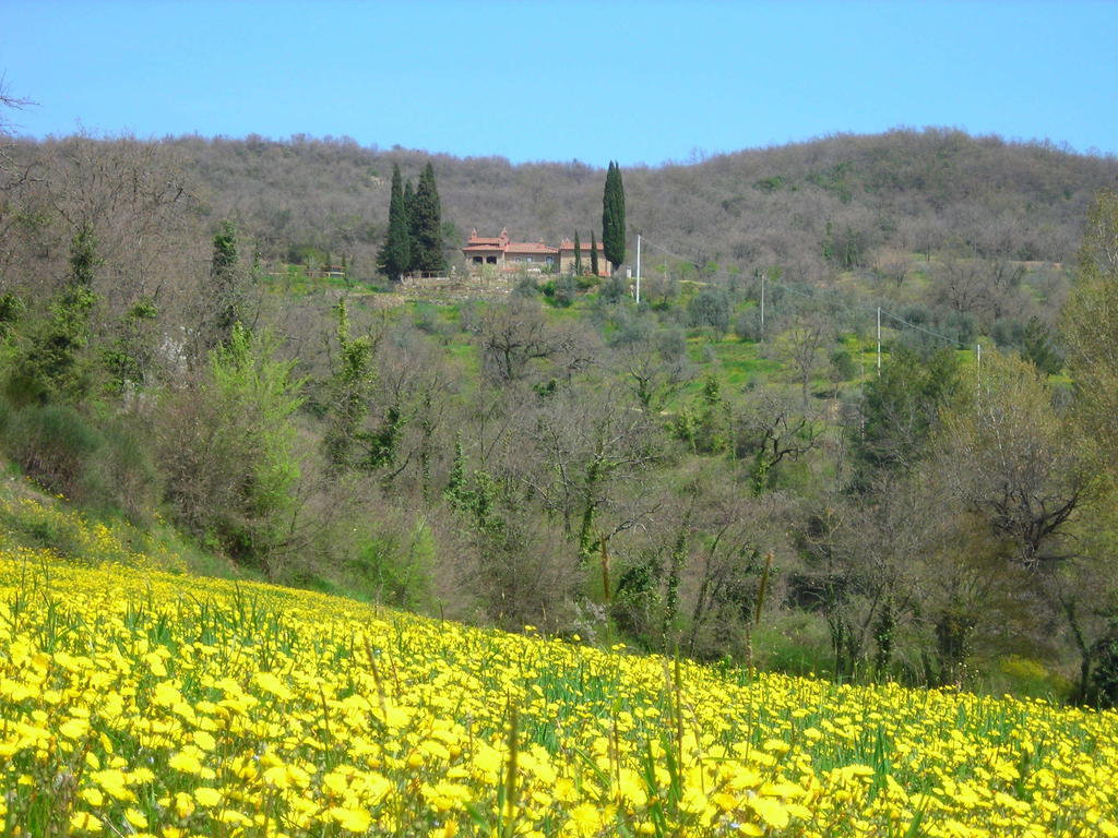 Allegro Agriturismo Argiano Arezzo Zewnętrze zdjęcie